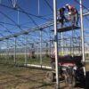 Implementation of hydroponic greenhouse projects.