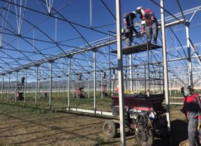 Implementation of hydroponic greenhouse projects.